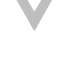Vue