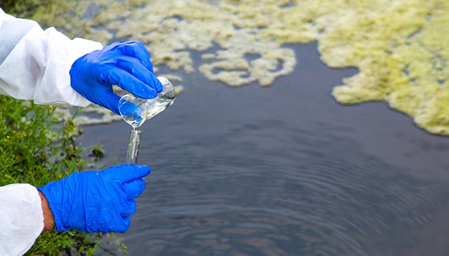 Water Quality & Pollution Management